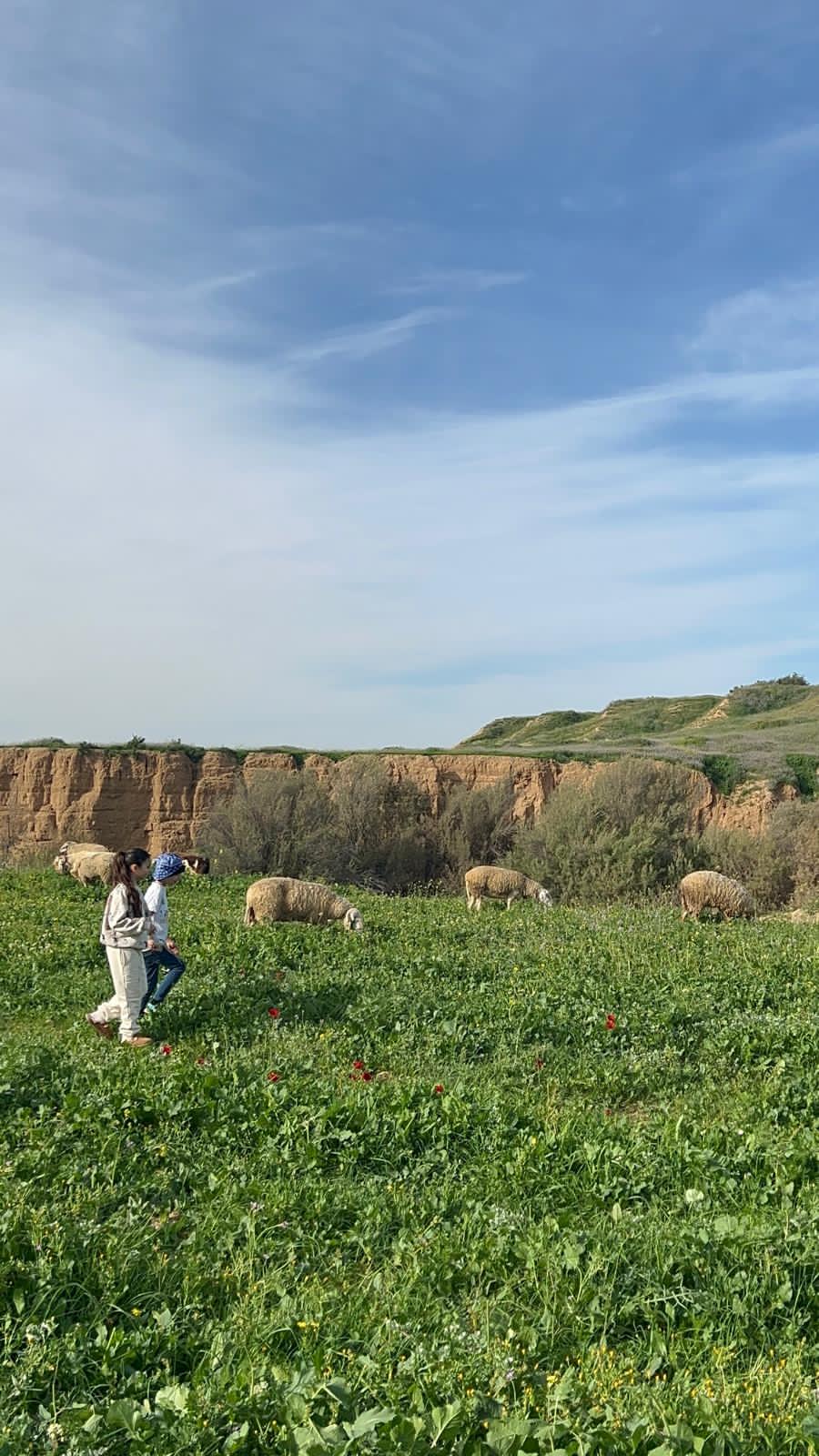 קולות מהדיר – סיור בין ערביים בחוות הדקלים