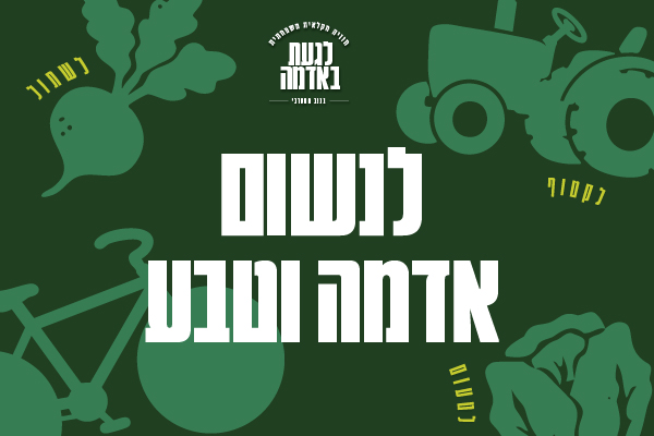 גלריה