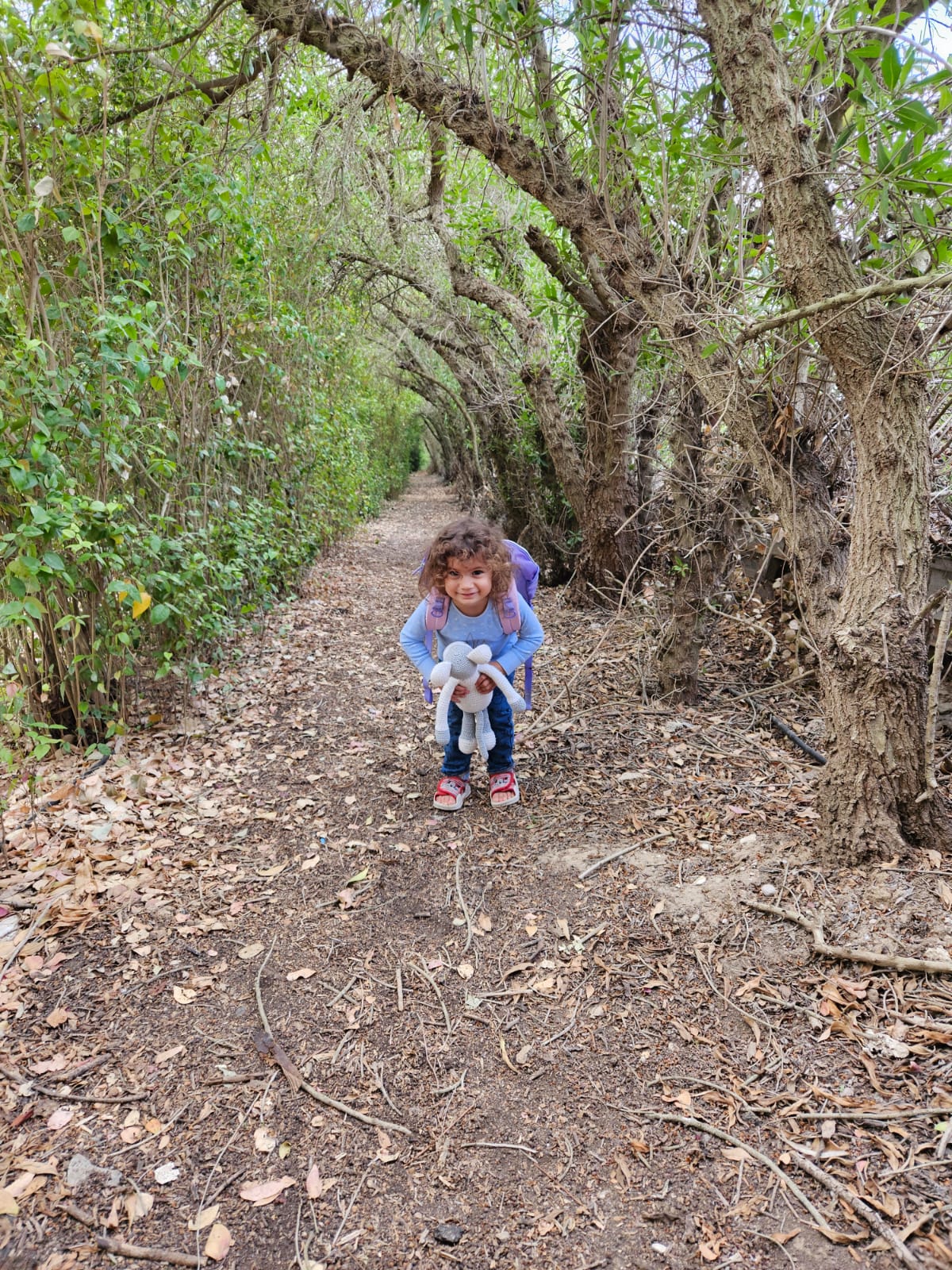 בין שבילי התבלינים – מבוך מרים בניר משה