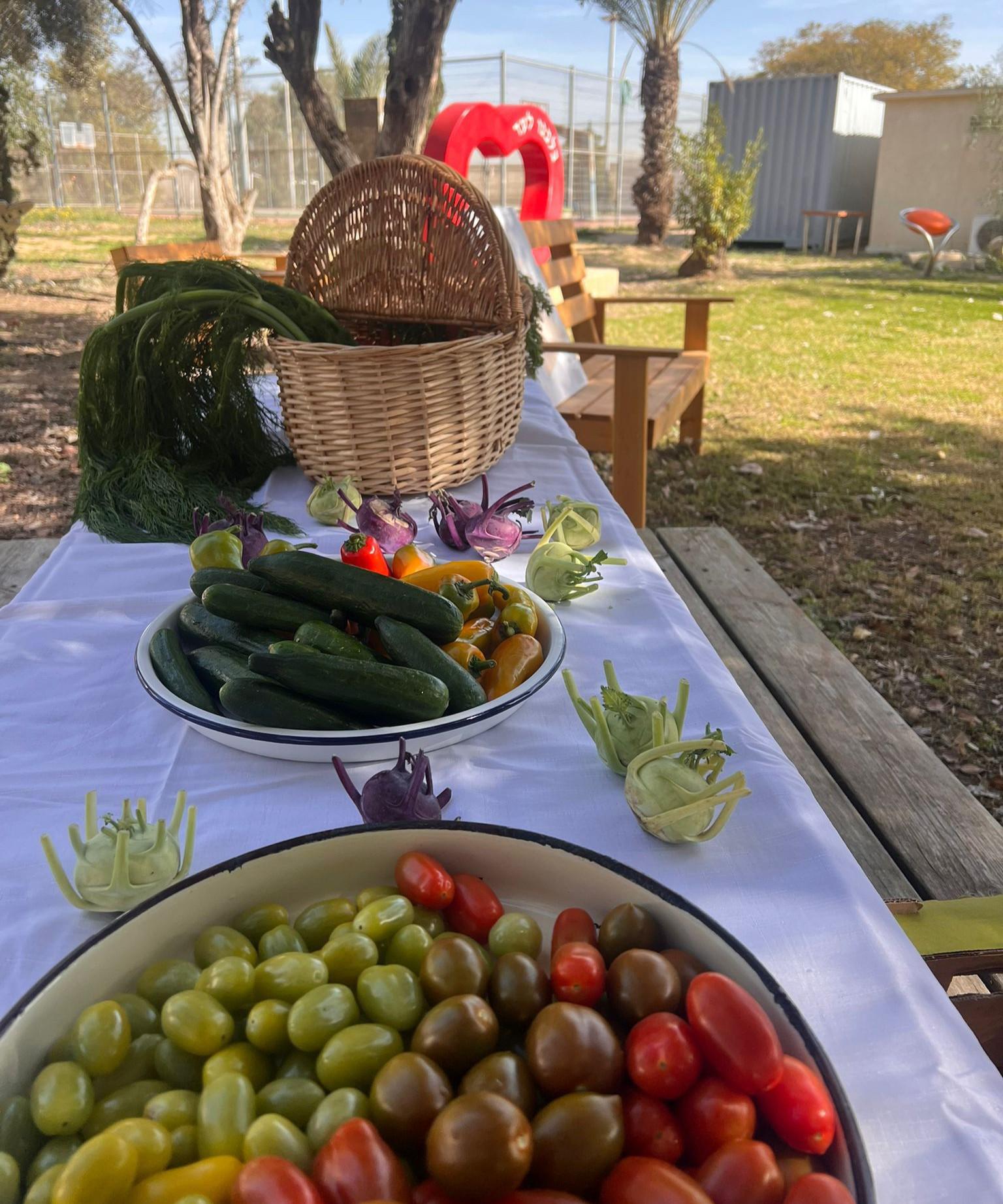 מצמיחים תקווה במושב יתד