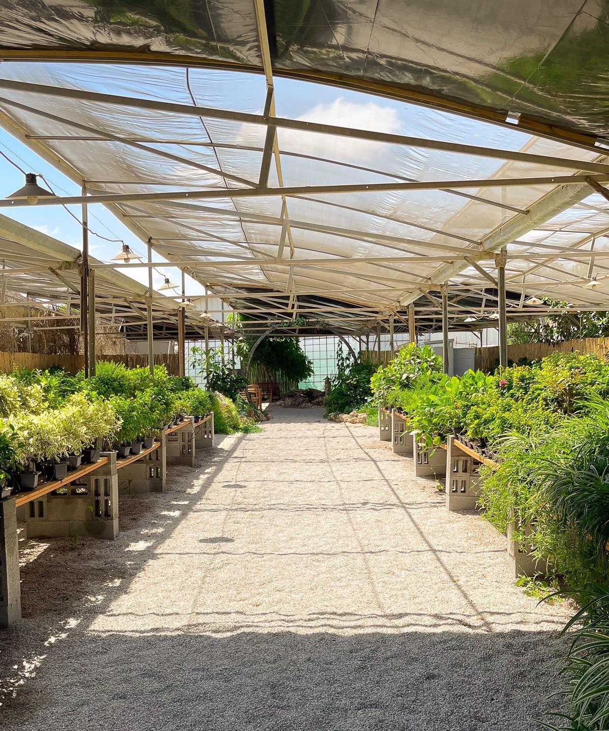 מצמיחים תקווה במושב יתד