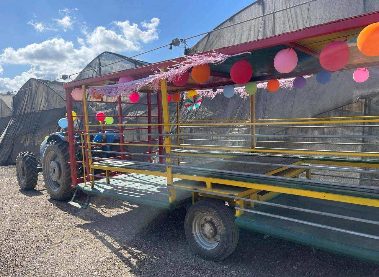 קטיף תותים וחיי המשק – חוויה חקלאית במשק 77