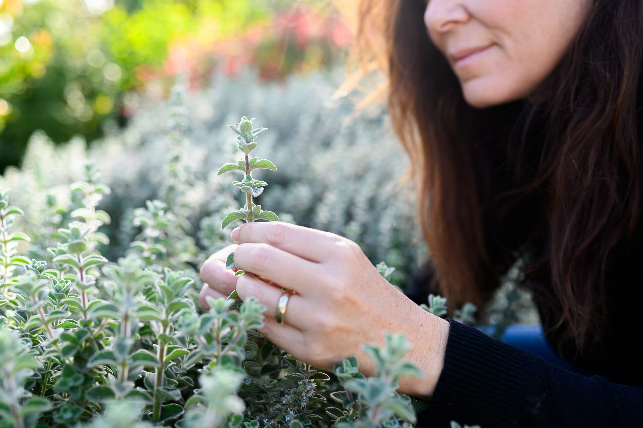 בעקבות הריח – סיור חווייתי ביער המאכל
