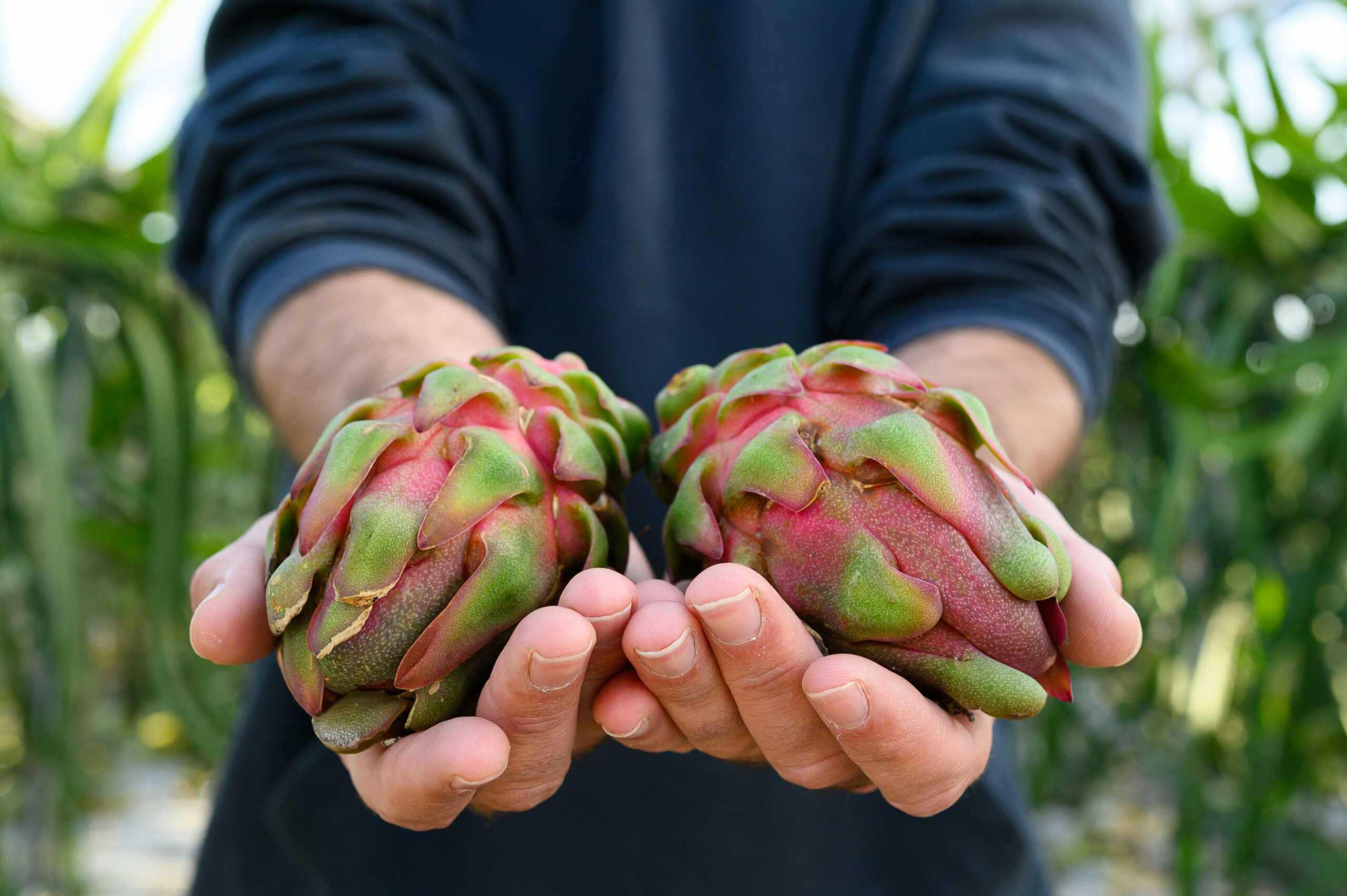 בעקבות הריח – סיור חווייתי ביער המאכל