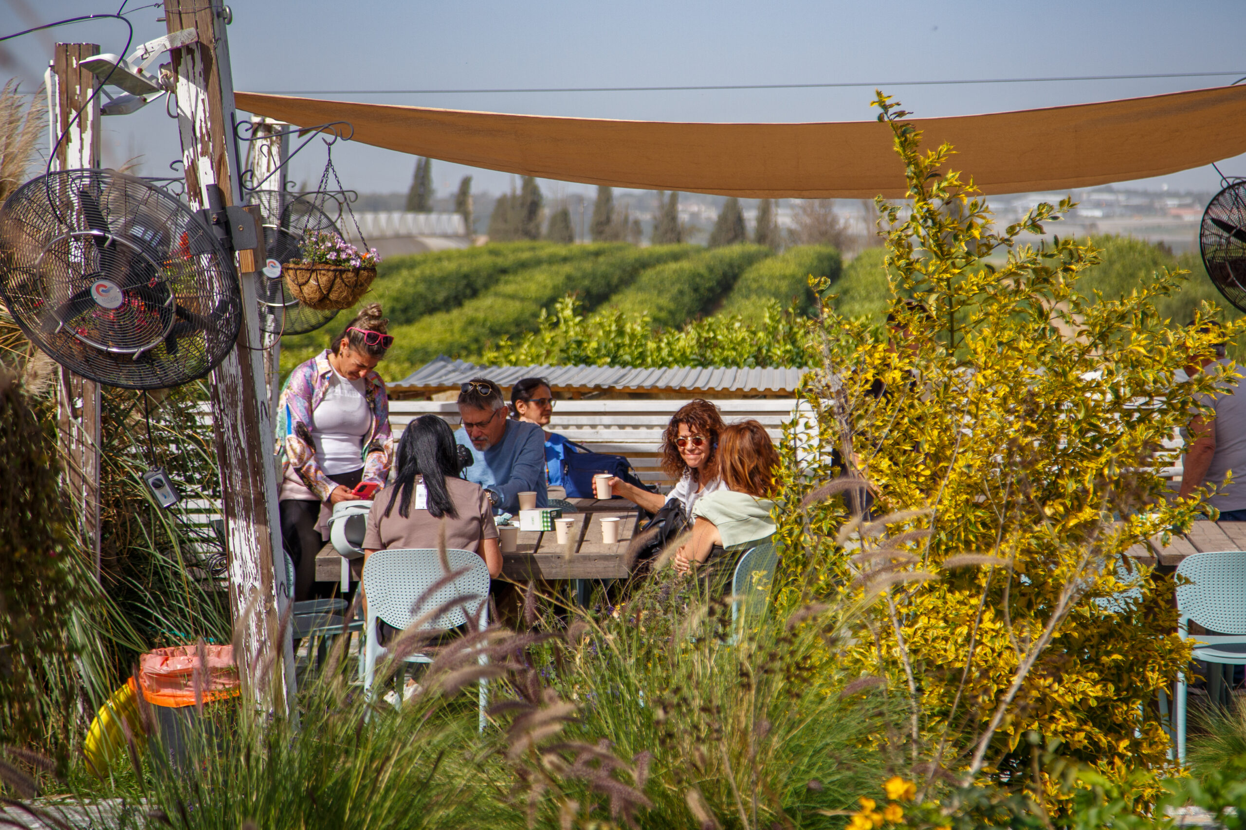 סיור טעימות וחקלאות – תקומה