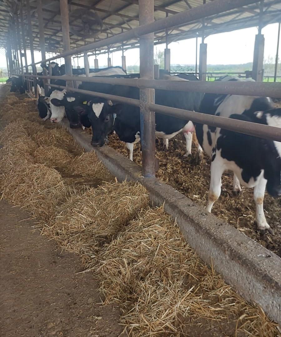 סיור וסיפור- בקיבוץ עין השלושה