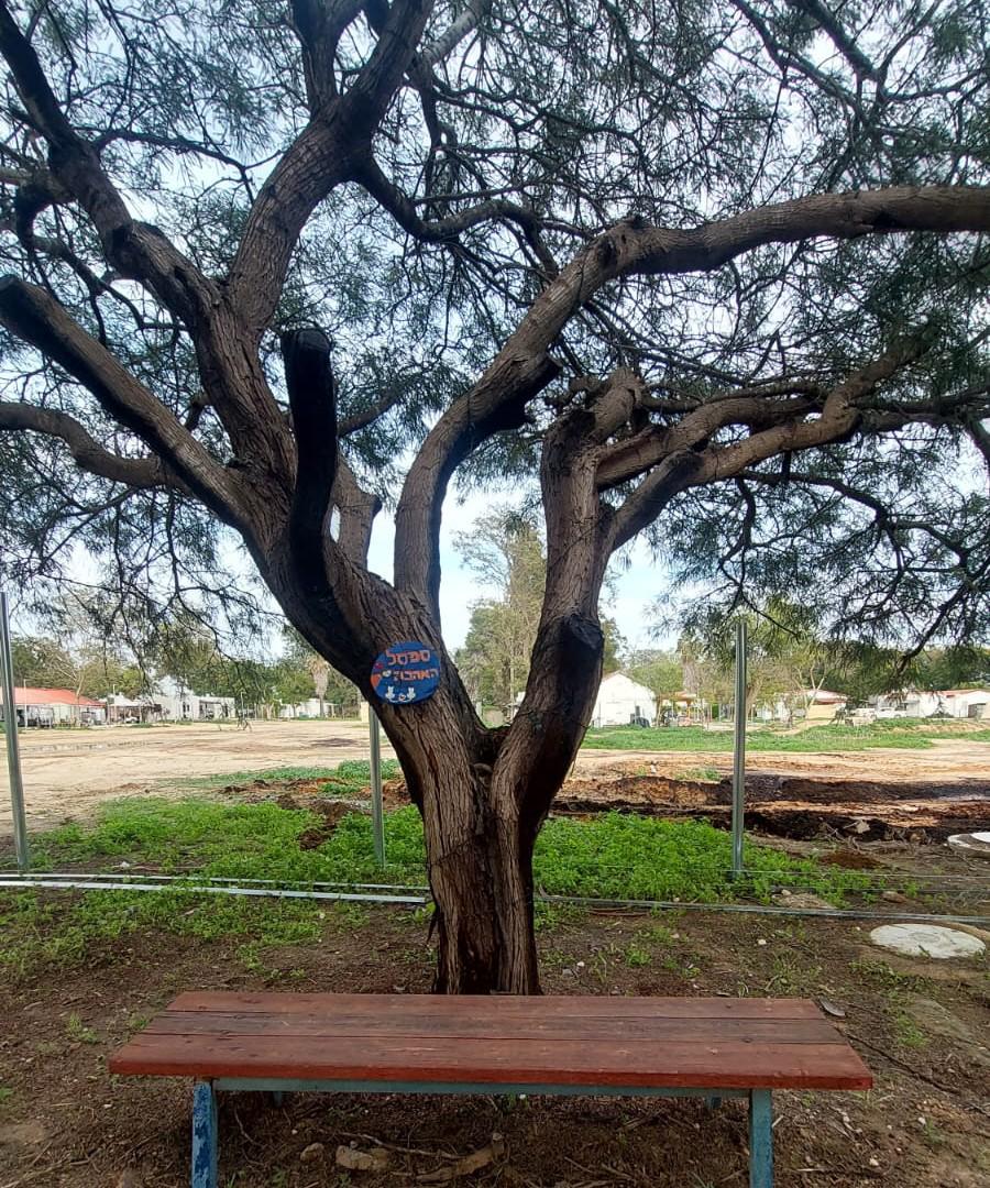 סיור וסיפור- בקיבוץ עין השלושה