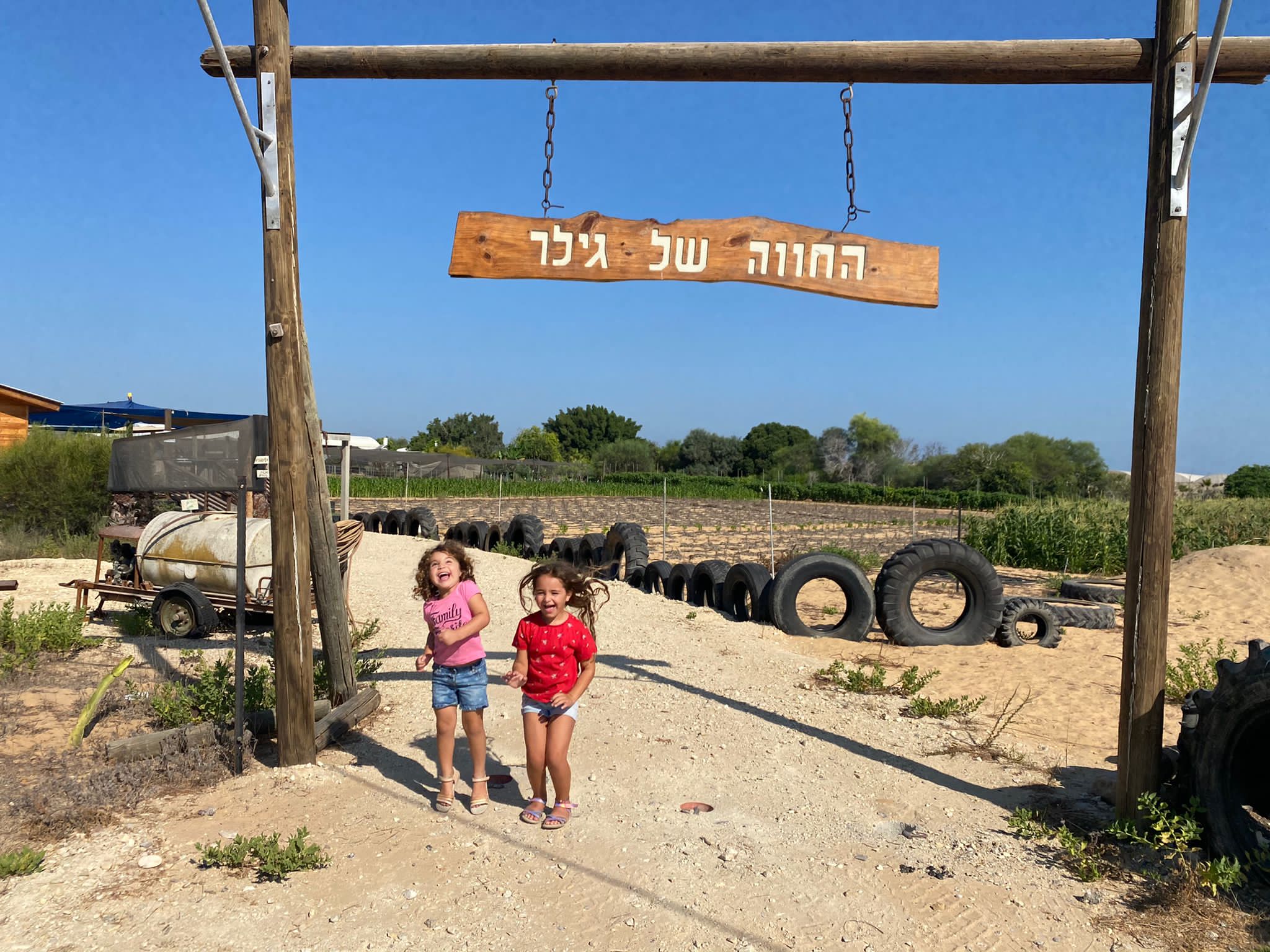 בין הטלאים והגדיים – חוויה חקלאית בחווה של גילר