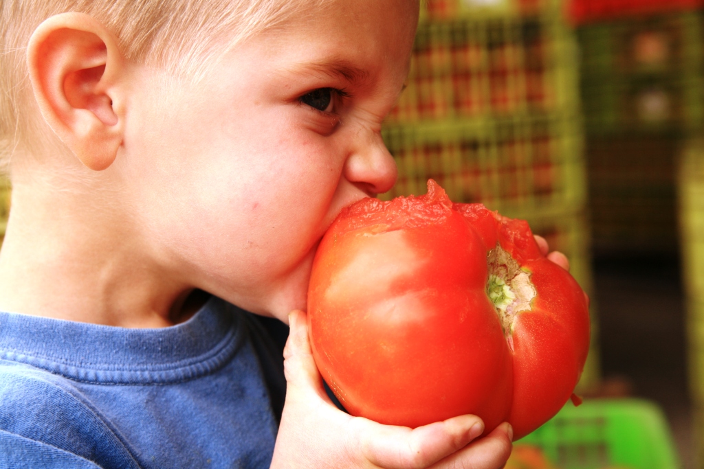 “יוצאים ממצרים אל השדה” – שביל הסלט