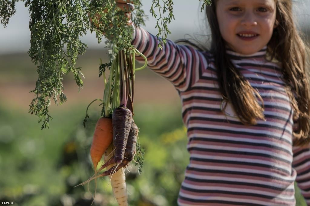 “יוצאים ממצרים אל השדה” – שביל הסלט