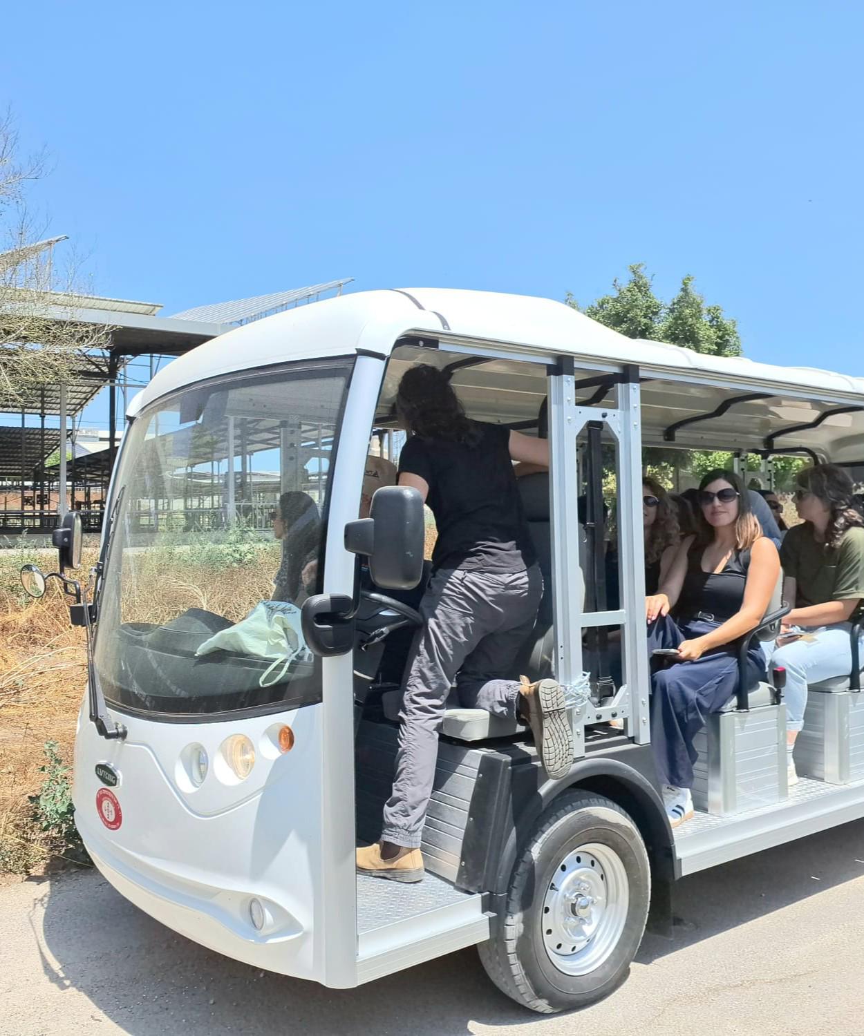 בית הדבש והדבורה ביד מרדכי