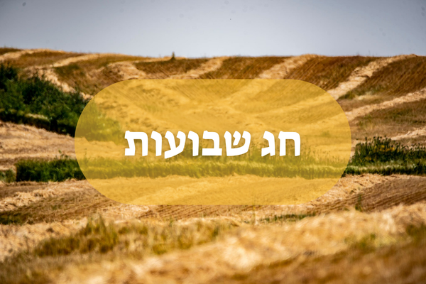 באנר חג שבועות