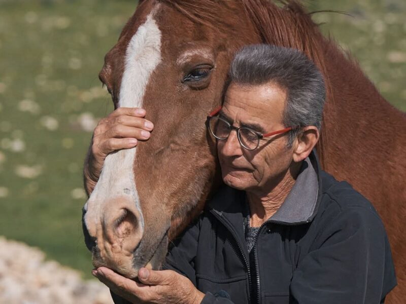 חוות זעק-כפר אהבה