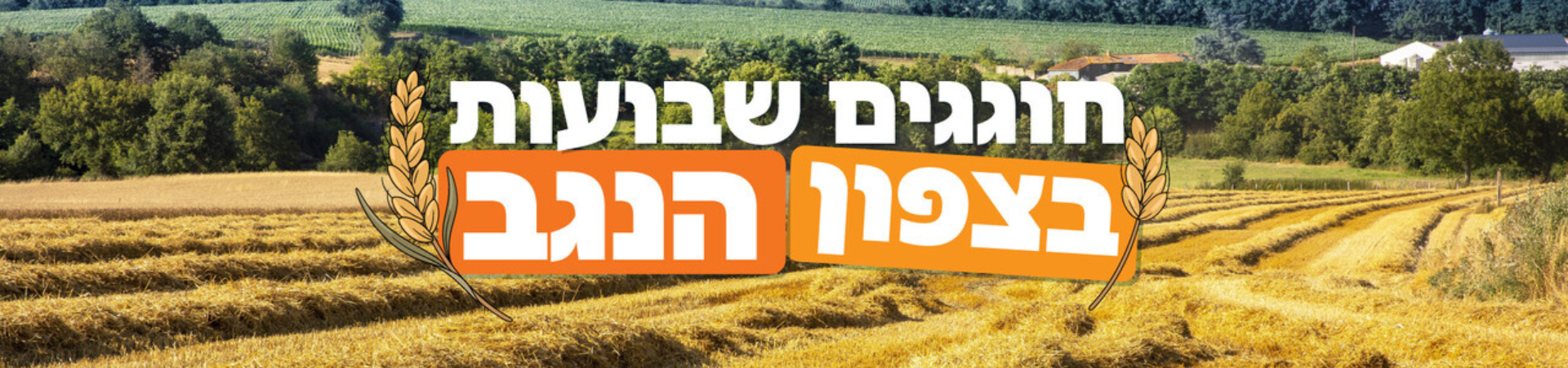 מה עושים בצפון הנגב?