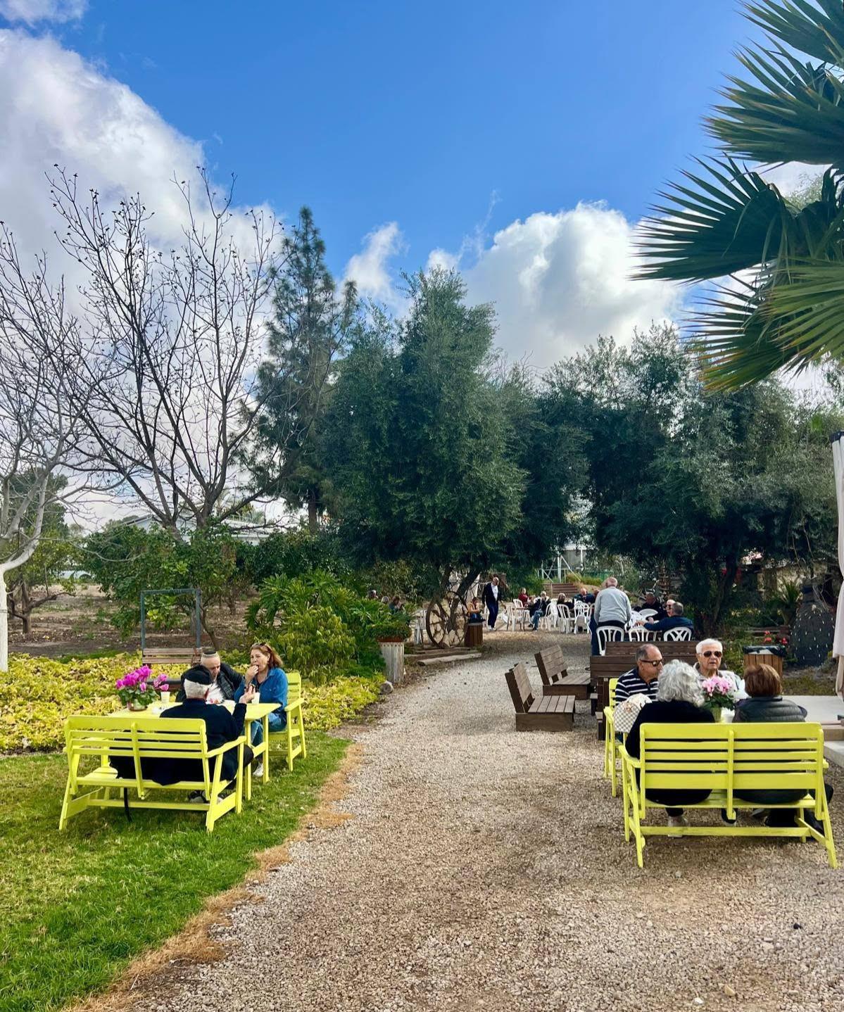 נאשים יושבים בפארק עם ספסלים וצמחייה