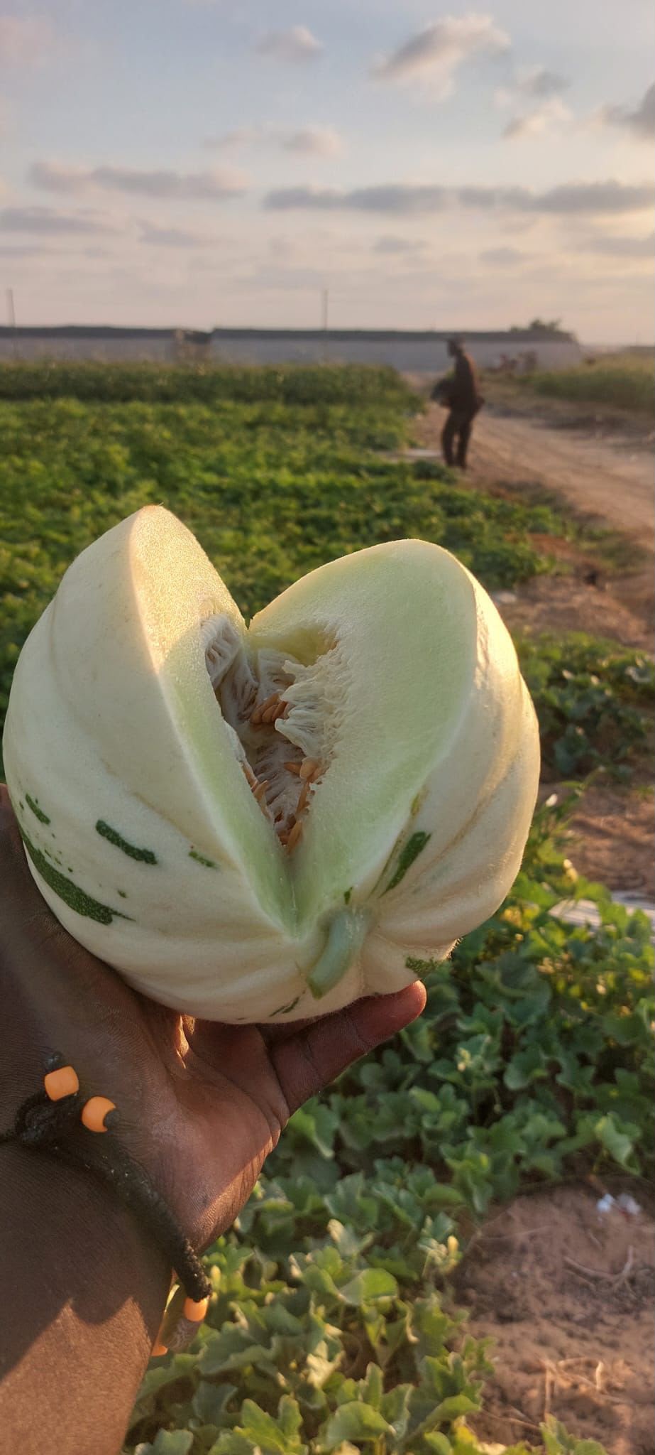 סיור מהאדמה אל הלב