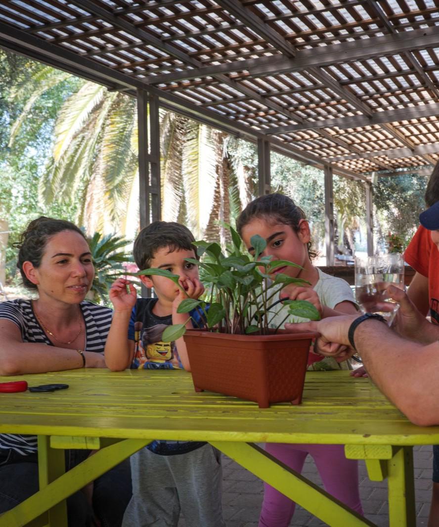 חוויה משפחתית בתיירות חצרים