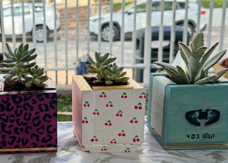 שלושה עציצי עץ עם צמחים