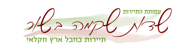 לוגו עמותת התיירות